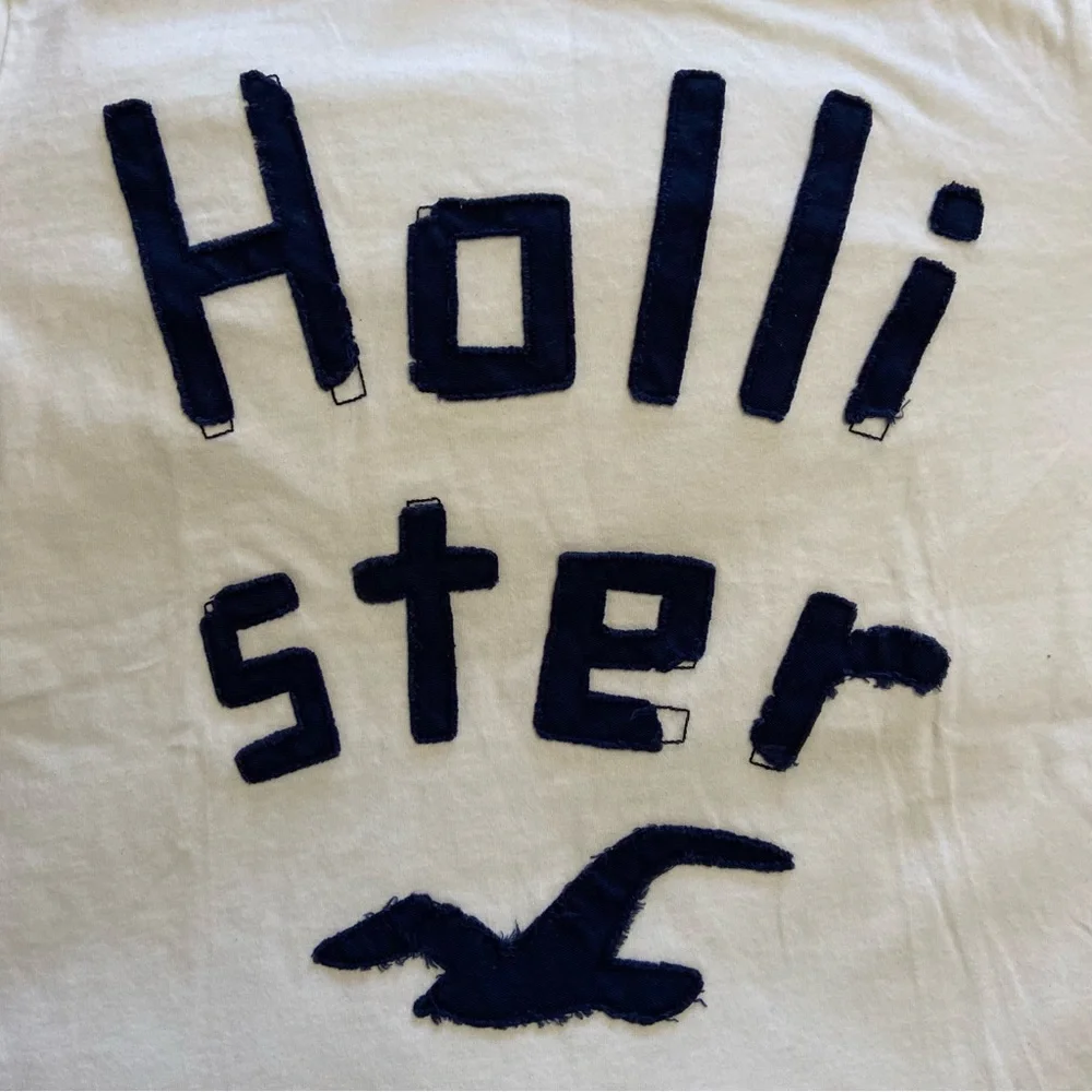 Hollister bird patch-stitch letter short sleeve size L vintage - Picture 2 of 10